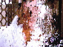 TV Breakup - Portrait # 6