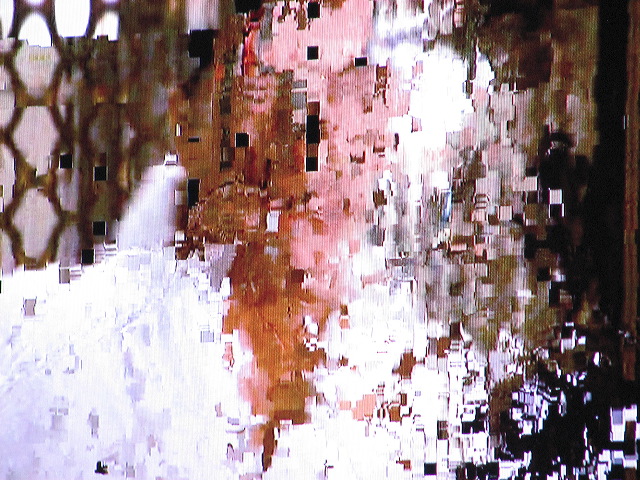 01685.jpg