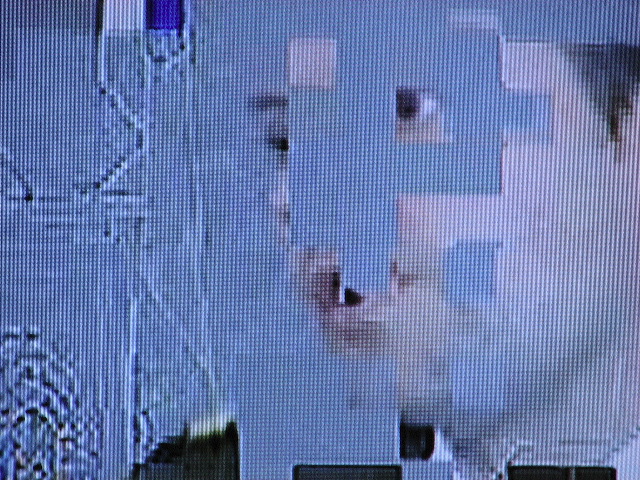 01690.jpg