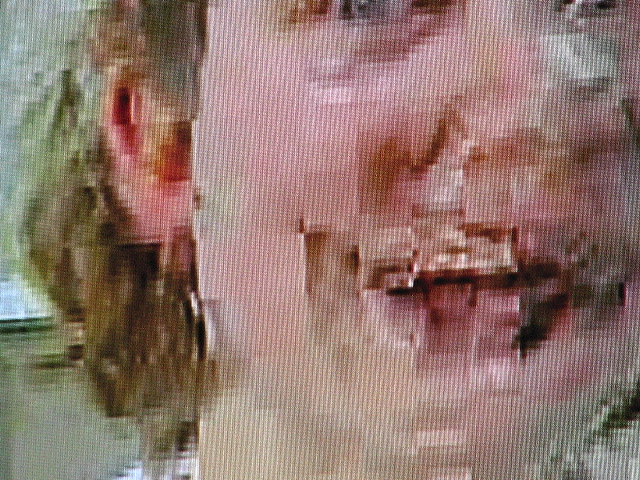 01779.jpg