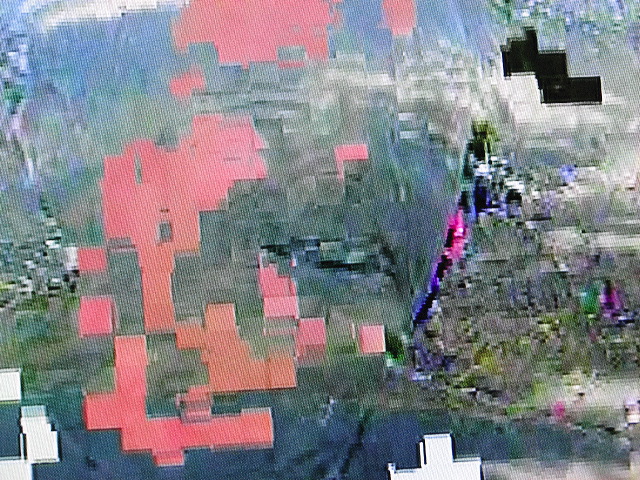 01806.jpg