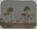 Parkland
