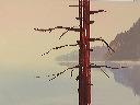 lone tree - pale peach ground