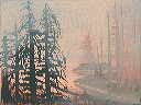 Forest sunset