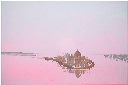floating city - pink