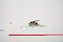 tank - white - red line