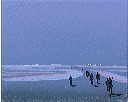 soldiers on road - blue