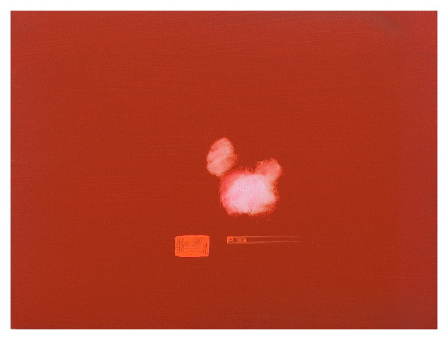 00487.jpg