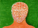 Morph / Face?